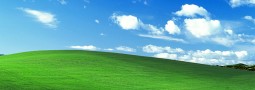 The Windows XP “Bliss” Wallpaper is a Real Photo!